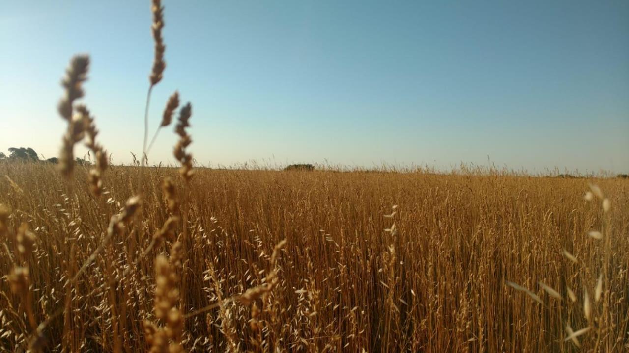 Вилла Vittorio, En Llohue Вилья-Вентана Экстерьер фото